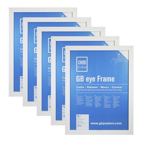 Gb Eye White Wooden Picture Poster Frame 22" x 17" Set of 5 Vertical and Horizontal