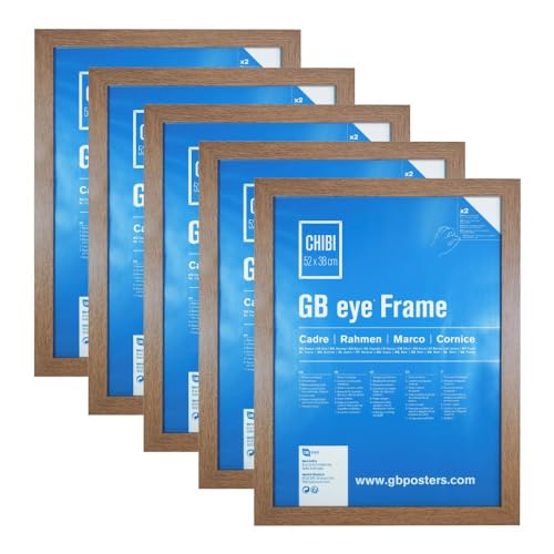 Gb Eye Oak Wooden Picture Poster Frame 20.5" x 15" Set of 5 Vertical and Horizontal