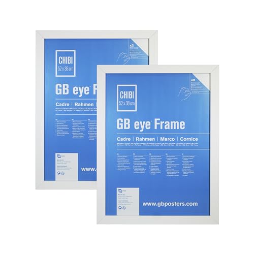 Gb Eye White Wooden Picture Poster Frame 22" x 17" Twin Pack Vertical and Horizontal