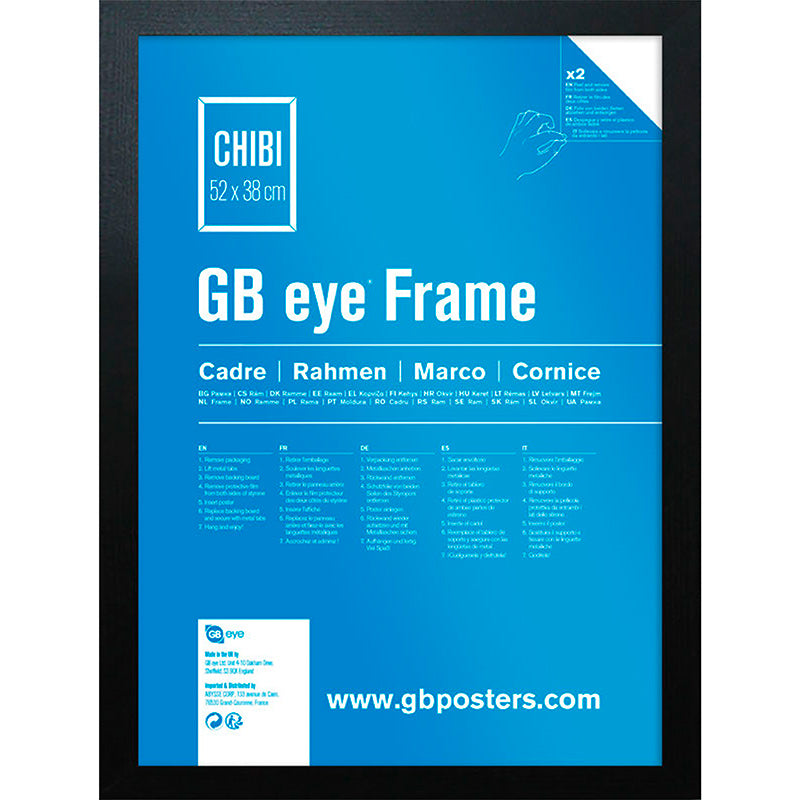 **PRE-ORDER** GB eye Black Wooden Blank Picture Frame 20.5" x 15.5"