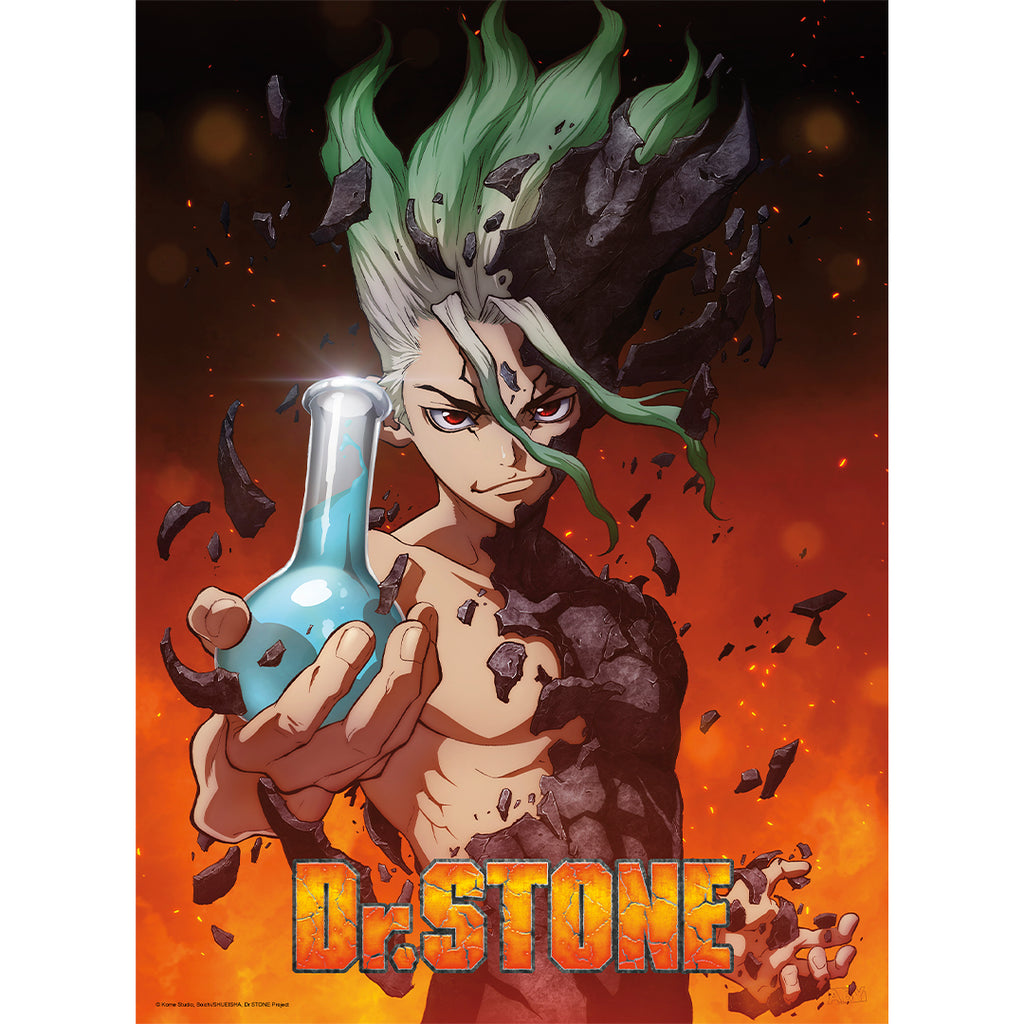 ABYSTYLE Dr. Stone Senku Unframed Poster 15" x 20.5" Featuring Senku Anime Manga
