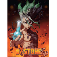 ABYstyle Dr. Stone Unframed Boxed Poster Set 15" x 20.5" Main Characters