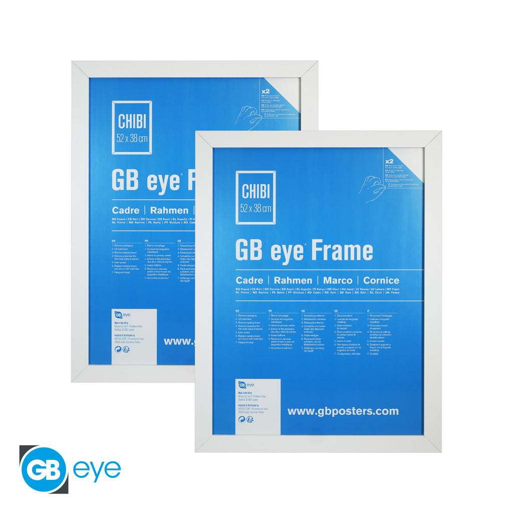 GB 15x20.5 Frame, FSC White Wood Poster Frame, Scratch Proof Glazing, Vertical and Horizontal Wall Mounting, Set of 2