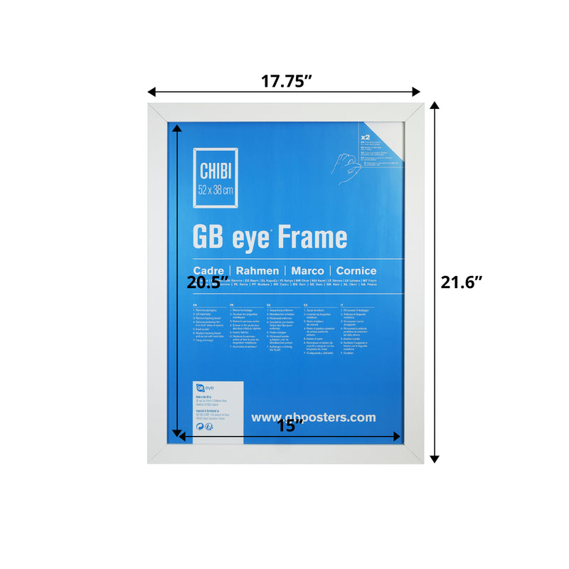 GB 15x20.5 Frame, FSC White Wood Poster Frame, Scratch Proof Glazing, Vertical and Horizontal Wall Mounting, Set of 2