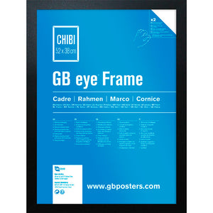 GB eye Black Wooden Blank Picture Frame 20.5" x 15.5"