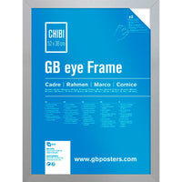 GB eye 20.5 x15 MDF Frame, FSC Silver Wood Poster Frame, scratch proof glazing, Horizontal and Vertical